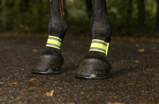 Светоотражатели на ноги лошади - фото 12072
