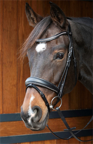 {{photo.Alt || photo.Description || 'Оголовье Petit Crystal'}}