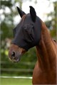 Маска антимоскитная FinoStretch на молнии 42049 - фото 13489